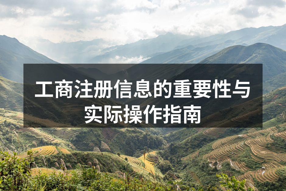 企业家进行工商注册咨询