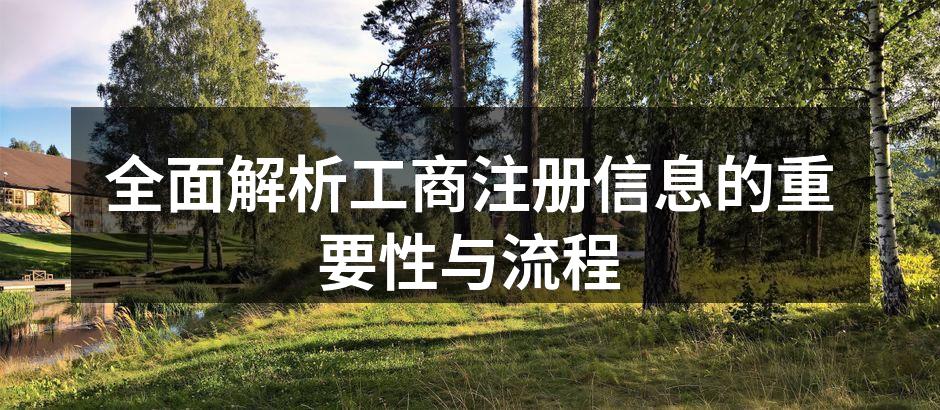 全面解析工商注册信息的重要性与流程