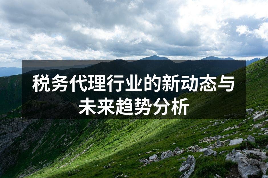 税务代理行业的新动态与未来趋势分析