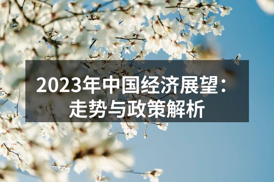 2023年中国经济政策会议现场