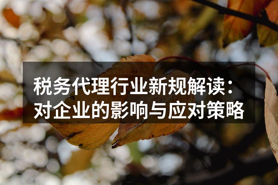 税务代理行业新规解读：对企业的影响与应对策略