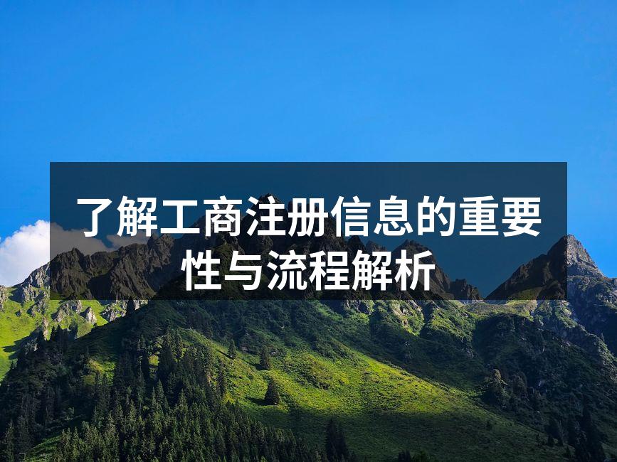 了解工商注册信息的重要性与流程解析