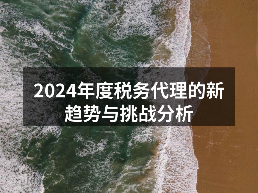 2024年度税务代理的新趋势与挑战分析
