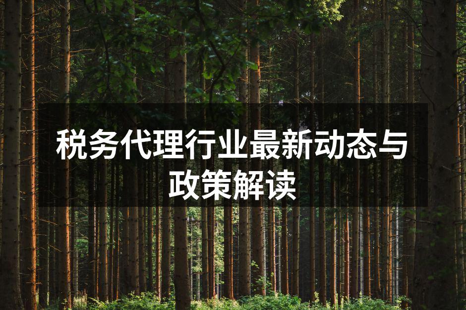 税务代理行业最新动态与政策解读